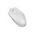 Мышка Defender Azora MB-241 LED USB White (52242), изображение 2 Мышка Defender Azora MB-241 LED USB White (52242), изображение 2