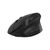 Мышка Canyon MW-25 LED Silent Wireless/Bluetooth Black (CNS-CMSW25), изображение 2 Мышка Canyon MW-25 LED Silent Wireless/Bluetooth Black (CNS-CMSW25), изображение 2