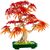 Конструктор LEGO Botanicals Бонсай з японського червоного клена (10348), зображення 2 Конструктор LEGO Botanicals Бонсай з японського червоного клена (10348), зображення 2