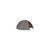 Палатка Wechsel Intrepid 4 TL Laurel Oak (231068) (DAS301734), изображение 7 Палатка Wechsel Intrepid 4 TL Laurel Oak (231068) (DAS301734), изображение 7