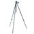 Штатив Vanguard Vesta 203AP (DAS301563), изображение 4 Штатив Vanguard Vesta 203AP (DAS301563), изображение 4