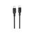 Дата кабель USB-C to USB-C 2.0m 60W Lenny silicone BX113 black BOROFONE (6941991115516), изображение 2 Дата кабель USB-C to USB-C 2.0m 60W Lenny silicone BX113 black BOROFONE (6941991115516), изображение 2