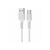 Дата кабель USB 2.0 AM to USB-C 1.0m 2A PVC BX16 white BOROFONE (6957531099468) Дата кабель USB 2.0 AM to USB-C 1.0m 2A PVC BX16 white BOROFONE (6957531099468)
