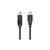 Кабель для принтера USB 2.0 AM/BM 3.0m black HP (DHC-PT100-3M) Кабель для принтера USB 2.0 AM/BM 3.0m black HP (DHC-PT100-3M)