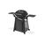Гриль-барбекю Weber Q3200N Black (1501126), изображение 3 Гриль-барбекю Weber Q3200N Black (1501126), изображение 3