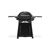 Гриль-барбекю Weber Q3200N Black (1501126) Гриль-барбекю Weber Q3200N Black (1501126)