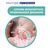 Пустышка Chicco Physio Comfort силіконова від 2 до 6 місяців 2шт. (блакитна) (74931.21.00), изображение 5 Пустышка Chicco Physio Comfort силіконова від 2 до 6 місяців 2шт. (блакитна) (74931.21.00), изображение 5