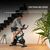 Велотренажер Cecotec DrumFit Indoor 6000 Forcis Bicicleta (CCTC-07094), изображение 3 Велотренажер Cecotec DrumFit Indoor 6000 Forcis Bicicleta (CCTC-07094), изображение 3