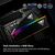 Модуль памяти для компьютера DDR5 32GB (2x16GB) 6400 MHz Viper Elite 5 Ultra RGB Patriot (VEUR532G6432K), изображение 9 Модуль памяти для компьютера DDR5 32GB (2x16GB) 6400 MHz Viper Elite 5 Ultra RGB Patriot (VEUR532G6432K), изображение 9