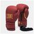 Боксерские перчатки Leone GN059X Bordeaux ED 10 унцій (GN059X_BORDEAUX_10oz) Боксерские перчатки Leone GN059X Bordeaux ED 10 унцій (GN059X_BORDEAUX_10oz)