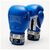 Боксерские перчатки Leone GN208 Iconic Blue 10 унцій (GN208_Blue_10oz), изображение 2 Боксерские перчатки Leone GN208 Iconic Blue 10 унцій (GN208_Blue_10oz), изображение 2