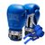 Боксерские перчатки Leone GN208 Iconic Blue 12 унцій (GN208_Blue_12oz) Боксерские перчатки Leone GN208 Iconic Blue 12 унцій (GN208_Blue_12oz)