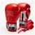 Боксерские перчатки Leone GN208 Iconic Red 10 унцій (GN208_Red_10oz) Боксерские перчатки Leone GN208 Iconic Red 10 унцій (GN208_Red_10oz)