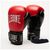 Боксерские перчатки Leone GN383 Thunder Red 10 унцій (GN383_Red_10oz) Боксерские перчатки Leone GN383 Thunder Red 10 унцій (GN383_Red_10oz)