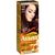 Краска для волос Acme Color Avena Shine Color Стойкая 067 - Капучино (4823115502537) Краска для волос Acme Color Avena Shine Color Стойкая 067 - Капучино (4823115502537)