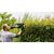 Кусторез Bosch AdvancedHedgeCut 70 500Вт, 70см, шаг реза 34мм, 4.1 кг (0.600.8C0.903), изображение 4 Кусторез Bosch AdvancedHedgeCut 70 500Вт, 70см, шаг реза 34мм, 4.1 кг (0.600.8C0.903), изображение 4