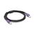 Кабель для принтера USB 2.0 AM/BM 1.5m ferrite black Ritar (YT-AM/BM-1.5MB), изображение 2 Кабель для принтера USB 2.0 AM/BM 1.5m ferrite black Ritar (YT-AM/BM-1.5MB), изображение 2