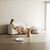 Пылесос Xiaomi Robot Vacuum S20 White, изображение 7 Пылесос Xiaomi Robot Vacuum S20 White, изображение 7