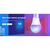 Умная лампочка TP-Link Tapo L530E (2-Pack) N300 (TAPO-L530E-2-PACK), изображение 2 Умная лампочка TP-Link Tapo L530E (2-Pack) N300 (TAPO-L530E-2-PACK), изображение 2