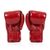 Боксерские перчатки Fairtex BGV1 Nation Print Red 14 унцій (бинти в комплекті) (BGV1_Print_14oz_Red), изображение 4