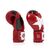 Боксерские перчатки Fairtex BGV1 Nation Print Red 14 унцій (бинти в комплекті) (BGV1_Print_14oz_Red), изображение 5