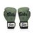 Боксерські рукавички Fairtex BGV11 Green 16 унцій (бинти в комплекті) (BGV11_16oz_Green), зображення 3 Боксерські рукавички Fairtex BGV11 Green 16 унцій (бинти в комплекті) (BGV11_16oz_Green), зображення 3