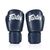Боксерские перчатки Fairtex BGV27 Blue 14 унцій (бинти в комплекті) (BGV27_14oz_Blue), изображение 3 Боксерские перчатки Fairtex BGV27 Blue 14 унцій (бинти в комплекті) (BGV27_14oz_Blue), изображение 3