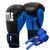 Боксерские перчатки Title Boxing Dynamic Strike Black/Blue 14 oz (XDBG 14 BK/BL) Боксерские перчатки Title Boxing Dynamic Strike Black/Blue 14 oz (XDBG 14 BK/BL)