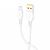 Дата кабель USB 2.0 AM to Micro 5P 1.0m 2.4A silicone white Denmen (DM-D06V-WH) Дата кабель USB 2.0 AM to Micro 5P 1.0m 2.4A silicone white Denmen (DM-D06V-WH)