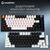 Клавіатура GamePro Asgard Valhalla MK160B Pro 75 RGB Wireless/Bluetooth/USB Black (MK160B Pro), зображення 8 Клавіатура GamePro Asgard Valhalla MK160B Pro 75 RGB Wireless/Bluetooth/USB Black (MK160B Pro), зображення 8