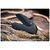 Нож Weknife High-Fin XL, Darkwash, чорний титан (WE24010-1), изображение 10 Нож Weknife High-Fin XL, Darkwash, чорний титан (WE24010-1), изображение 10