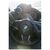 Нож Weknife High-Fin XL, Darkwash, чорний титан (WE24010-1), изображение 7 Нож Weknife High-Fin XL, Darkwash, чорний титан (WE24010-1), изображение 7