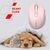 Мышка Canyon OnClick 20 Wireless Dark Gray (CNE-CMSW20DG), изображение 8 Мышка Canyon OnClick 20 Wireless Dark Gray (CNE-CMSW20DG), изображение 8