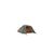 Палатка Wechsel Outpost 3 TL Laurel Oak (231070) (DAS301048), изображение 2 Палатка Wechsel Outpost 3 TL Laurel Oak (231070) (DAS301048), изображение 2