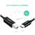 Кабель для принтера USB-C 2.0 to BM 2.0m US241 black Ugreen (50446), изображение 4 Кабель для принтера USB-C 2.0 to BM 2.0m US241 black Ugreen (50446), изображение 4