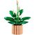 Конструктор LEGO Botanicals Спатифиллум (11504), изображение 5