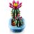 Конструктор LEGO Botanicals Цвітіння кактуса (11509), зображення 4