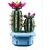 Конструктор LEGO Botanicals Цвітіння кактуса (11509), зображення 6