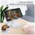 Подставка для планшета и телефона Knight Foldable Desk Mobile Phone Holder Stand (Alloy) White Essager (EZJZM-QS02), изображение 7