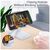 Подставка для планшета и телефона Knight Foldable Desk Mobile Phone Holder Stand (Plastic) White Essager (EZJZM-QSSJ02), изображение 7