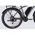 Электровелосипед Formula 29" eMOTION PLUS DD FR рама-19" 48B 15А*г 500Вт 2026 сіро-сріблястий (ELB-FR-29-261), изображение 5