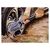 Тактическая лопата NexTool Folding Shovel Medium (NE20206), изображение 8