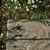 Спальный мешок Totem Woodcock R (UTTS-001-R), изображение 12