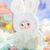Мягкая игрушка Pop Top сюрприз с кольцом Hi TOY Nommi Прогноз погоды (HC032), изображение 2