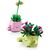 Конструктор LEGO Botanicals Качающиеся растения (11506), изображение 4