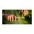 Мультитул Leatherman Bond Mossy Slate (833309), зображення 6