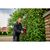 Кусторез Einhell Professional GP-CH 18/50 Li BL - Solo, 18V, 56cm, шаг 20mm (без АКБ и ЗУ) (3410950), изображение 3