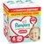 Подгузники Pampers Premium Care Pants Розмір 6 (13-19 кг) 96 шт (8006530315814)