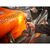 Шуруповерт DeWALT McLaren F1 TEAM LIMITED EDITION, 18V, АКБ 2x5Ah, 205Нм, 1000-2800-3250об/хв, кейс, ЗП, 1.0кг (DCF85MP2T), зображення 7