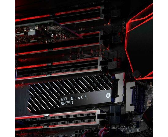 Накопитель SSD M.2 2280 1TB WD (WDS100T3XHC), изображение 8 Накопитель SSD M.2 2280 1TB WD (WDS100T3XHC), изображение 8